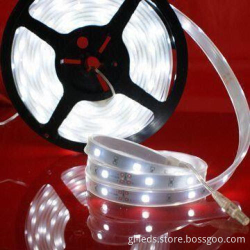 2,700K 5050 SMD LED Strip Light with 12 to 24V DC Input Voltage, RoHS/CE Compliant
